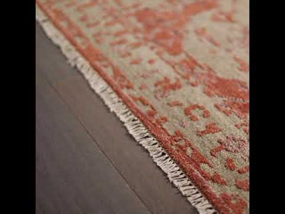 Jaipur Living Liberty Azar LIB12 Rust/Taupe Area Rug Video Image