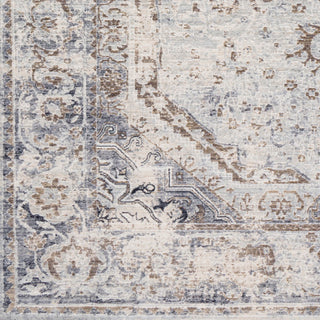 Surya Liverpool LVP-2302 Area Rug 18" Sample Swatch 