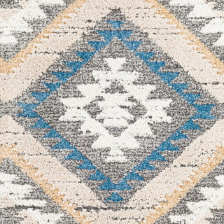 Surya Lyon LYN-2300 Area Rug Close Up 