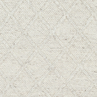 Surya Napels NPL-2304 Area Rug Swatch 