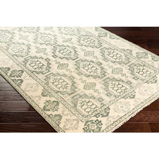 Surya Palais PAL-2303 Area Rug On Wood 