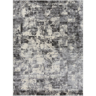 Surya Pune PUN-2306 Area Rug