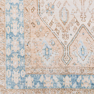 Surya Regen RGE-2304 Area Rug close up