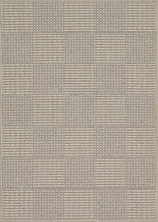 Couristan Tides Concord Sand/Grey Area Rug