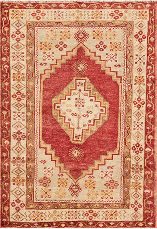 Loloi Turkish Hand Knots One of a Kind Red Area Rug main image