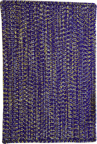 Capel Team Spirit 0301 Purple Gold Area Rug
