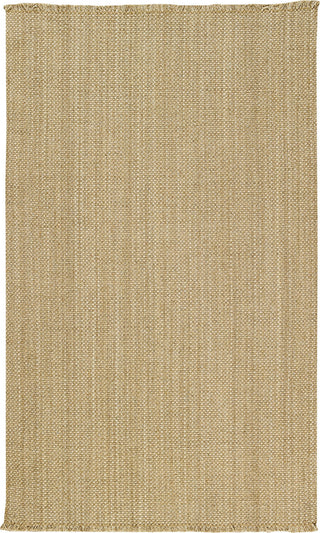 Capel Nags Head 0404 Beige 700 Area Rug Rectangle