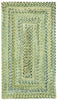 Capel Ocracoke 0425 Pale Green 225 Area Rug main image