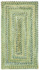 Capel Ocracoke 0425 Pale Green 225 Area Rug main image