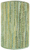 Capel Ocracoke 0425 Pale Green 225 Area Rug Tailored Rectangle