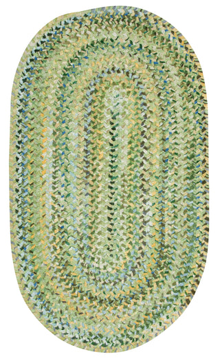 Capel Ocracoke 0425 Pale Green 225 Area Rug Oval