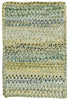 Capel Ocracoke 0425 Pale Green 225 Area Rug Cross Sewn Rectangle