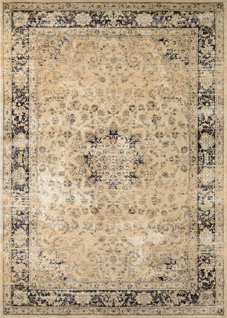 Couristan Zahara Persian Vase Oatmeal/Black Area Rug