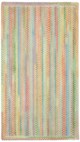Capel Baby's Breath 0450 Light Green 240 Area Rug Rectangle/Vertical Stripe Rectangle