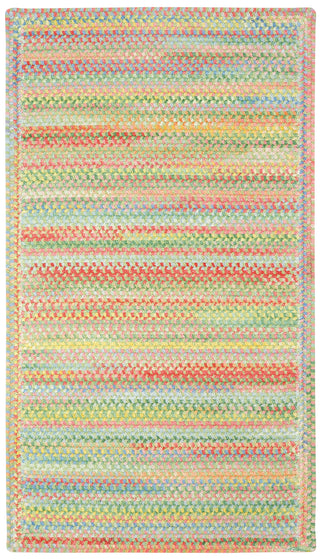 Capel Baby's Breath 0450 Light Green 240 Area Rug Cross Sewn Rectangle