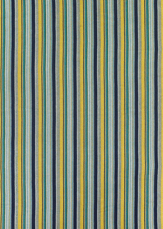 Couristan Bar Harbor Lemon Drop Area Rug