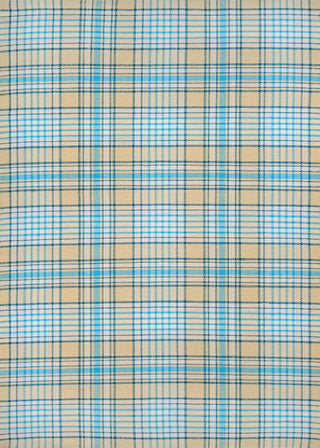 Couristan Bar Harbor Cape Plaid Butterscotch Aqua Area Rug main image