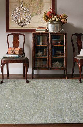 Capel Jain 1201 Celery Area Rug Rectangle Roomshot Image 1 Feature