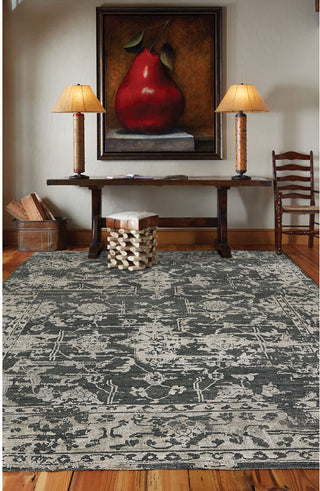 Capel Jain 1201 Coal Area Rug Rectangle Roomshot Image 1 Feature