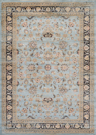 Couristan Zahara Farahan Amulet Light Blue/Black Area Rug