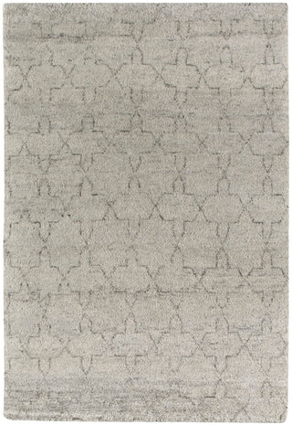 Capel Fortress Star 1925 Dawn 650 Area Rug main image