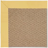 Capel Zoe-Raffia 1992 Lemon Area Rug Rectangle/Vertical Stripe Rectangle