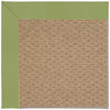 Capel Zoe-Raffia 1992 Green Area Rug main image