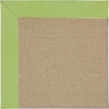 Capel Zoe-Sisal 1995 Parakeet Area Rug Rectangle