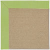Capel Zoe-Sisal 1995 Parakeet Area Rug main image