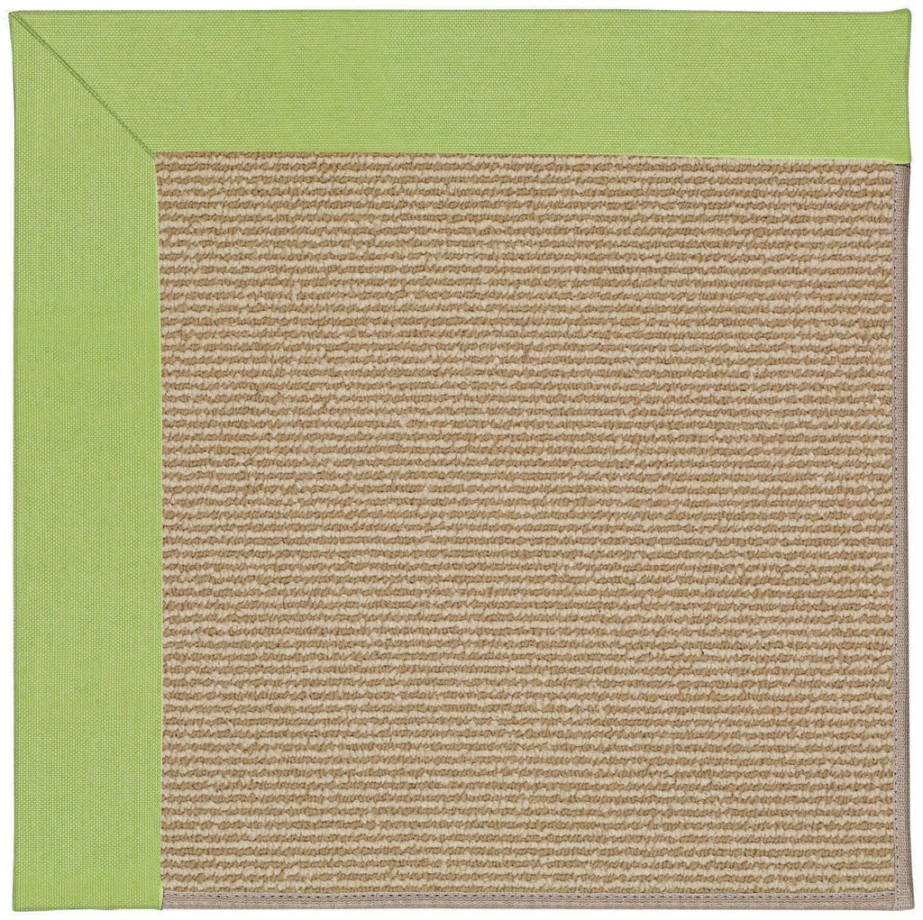 Capel Zoe-Sisal 1995 Parakeet Area Rug main image