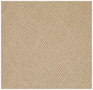 Capel Shoal Cane Wicker 1997 Area Rug main image