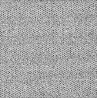 Capel Anson-Silver 2017 Area Rug main image