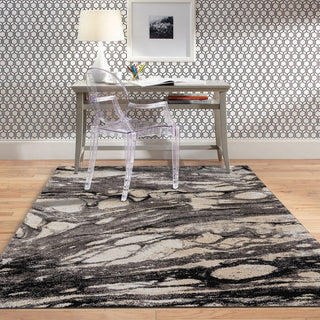 Capel Mineral-Marble 2441 Granite Area Rug Rectangle Roomshot Image 1 Feature