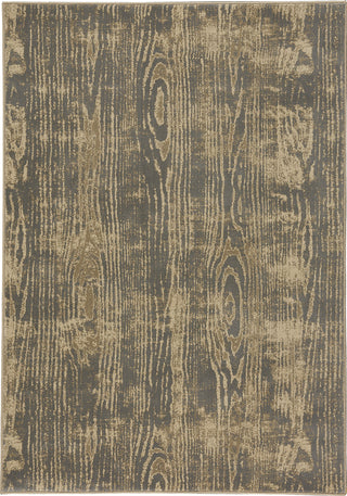 Capel Kevin O'Brien Thicket 2486 Ash Area Rug main image