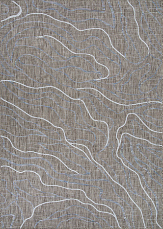 Couristan Charm Odessa Twig Area Rug main image