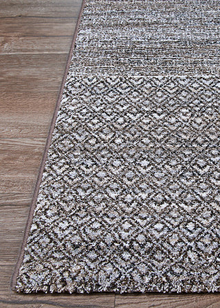 Couristan Nomad Pamaria Terra Firma Area Rug Corner Image