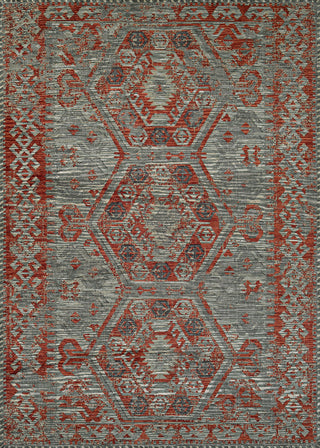 Couristan Mandolina Serik Grey/Terra Cotta Area Rug