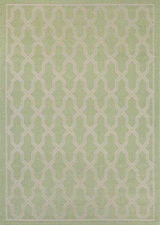 Couristan Five Seasons Crystal Coast Green/Cream Area Rug