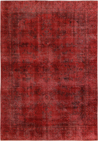 Kalaty Super Pak Vintage Red Area Rug main image