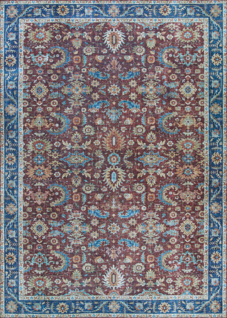 Couristan Pasha Kerman Cabernet Area Rug main image