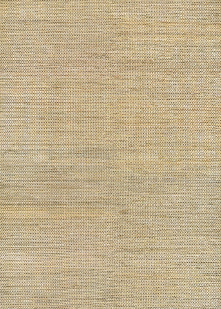 Couristan Ambary Azolla Camel/Natural Area Rug