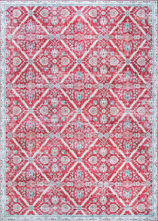 Couristan Pasha Arcadia Garnet Area Rug main image