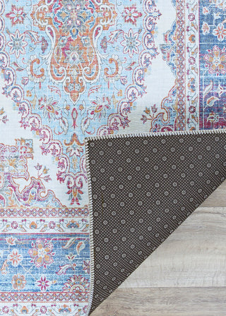 Couristan Pasha Persepolis Twilight Area Rug Main