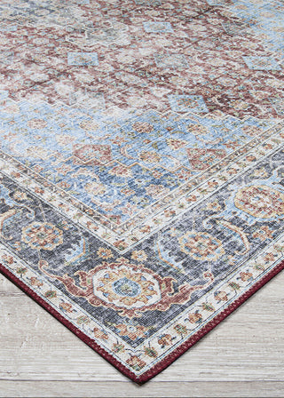Couristan Pasha Nahavand Cabernet Area Rug Close Up Image