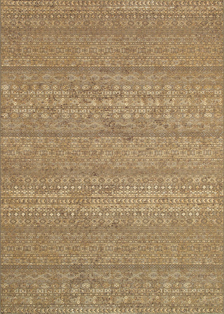 Couristan Cadence Overture Sage Grey/Multi Area Rug