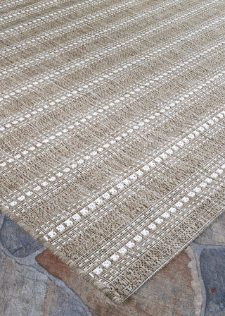 Couristan Afuera Beachcomber Mink/Shell Area Rug Close Up Image