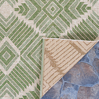 Couristan Dolce Botswana Juniper Area Rug Main