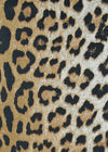 Couristan Dolce Amur Leopard New Gold Area Rug Pile Image