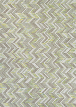 Couristan Tides Shelter Island Lemon Grass/Grey Area Rug