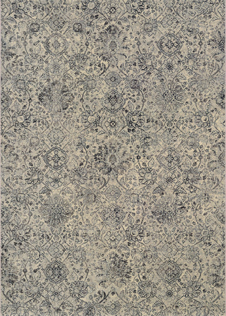 Couristan Easton Winslet Beige/Black Area Rug